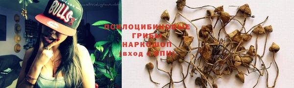 spice Лиски